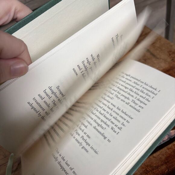 Dear America Standing in the Light The Captive Diary of Catharine Carey Logan Pe - Picture 6 of 7